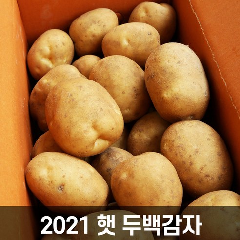 중문푸드 품종개량 우수종 두백감자 분나는 국산 햇 감자 사이즈선택, 특감자, 10kg