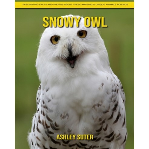Snowy Owl: Fascinating Facts and Photos about These Amazing & Unique ...