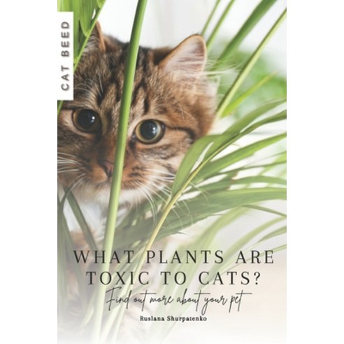 (영문도서) What plants are toxic to cats?: Find out more about your pet Paperback, Independently Published, English, 9798871482940