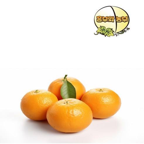제주 하우스 감귤 실중량 2.5kg 소과(2S) 1박스 제주하우스귤
