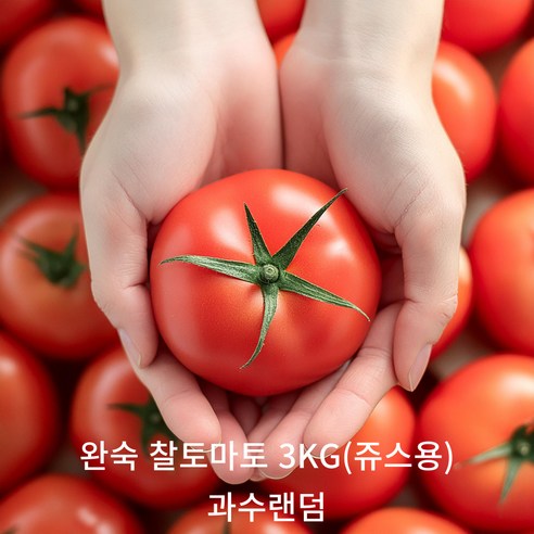 강원도 햇살 가득 담은 완숙 찰토마토, 밥상에 신선함을 더하세요!