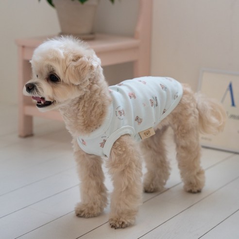 베일리펫 강아지옷 애견의류 테디 항균 슬리브리스 나시, 1개, 민트