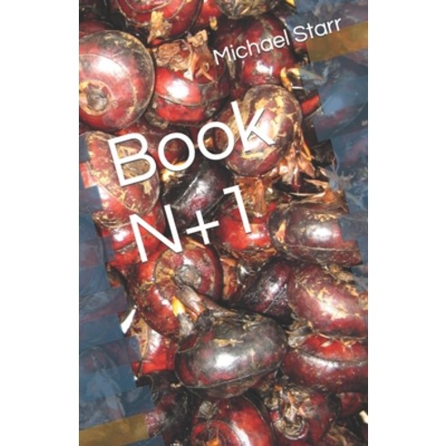 (영문도서) Book N+1 Paperback, Independently Published, English, 9798854132893