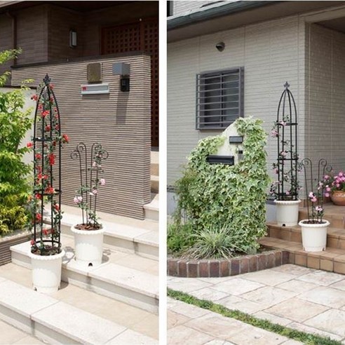 덩굴 식물을 위한 최고의 선택, 오벨리스크 철재 덩굴시렁!