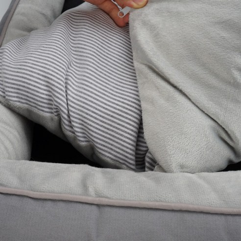 우리 반려견을 위한 최고의 선택