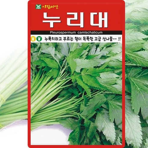 누리대 씨앗 20립 누룩치 나물 산나물 약초 종자 씨 봄 여름 가을 누리대씨 AR