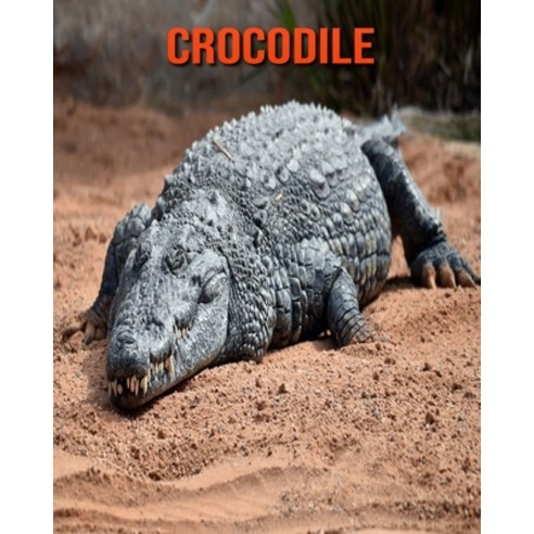 (영문도서) Crocodile: Amazing Facts & Pictures Paperback, Independently Published, English, 9798511251721