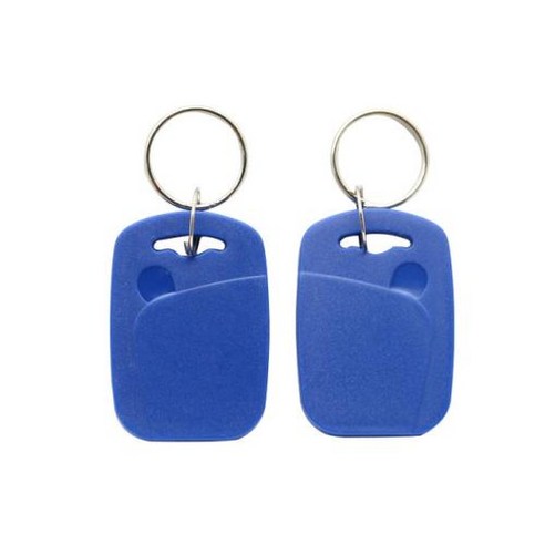 스마트 키 태그 키체인 RFID EM4305 EM4205 액세스 제어 카드 ID 125KHz 복제 가능 쓰기 가능 빈 Keyfobs 5PCs, 1) Blue-5Pcs