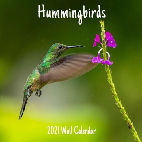 Hummingbirds 2021 Wall Calendar: Hummingbirds 2021 Calendar 18 Months. Paperback, Independently Published, English, 9798575805618