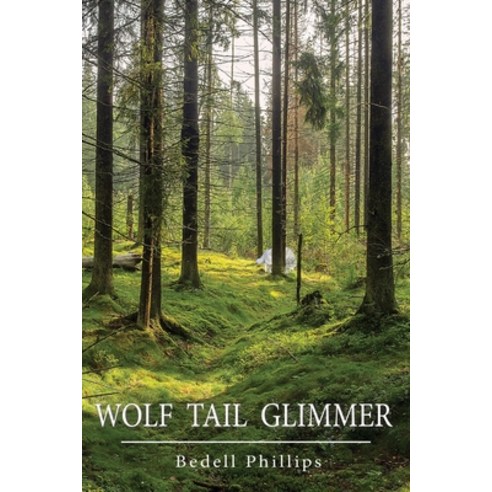 (영문도서) Wolf Tail Glimmer Paperback, Piscataqua Press, English, 9781950381203