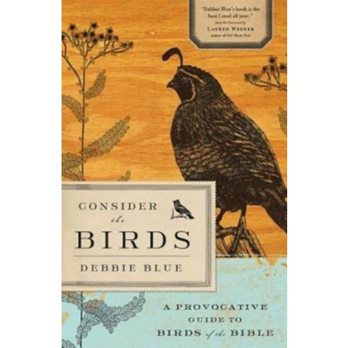 (영문도서) Consider the Birds: A Provocative Guide to Birds of the Bible Paperback, Abingdon Press, English, 9781426749506