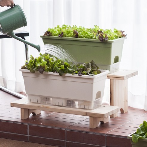 좁은 베란다에서 시작하는 싱싱한 채소 자급자족, 15L 텃밭 화분으로!