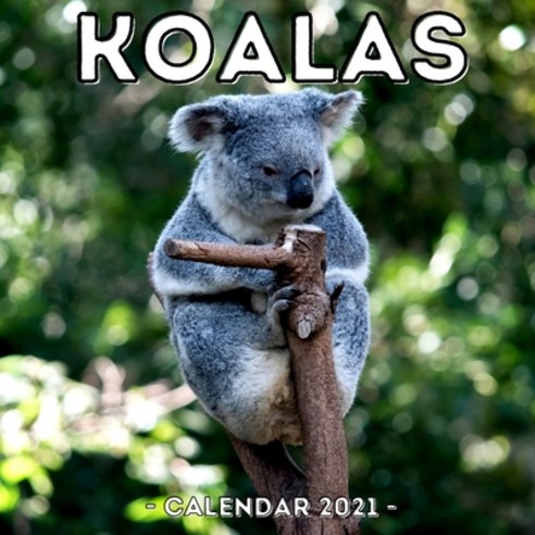 Koalas Calendar 2021: 16-Month Calendar Cute Gift Idea For Girls & Men Paperback, Independently Published, English, 9798741364574