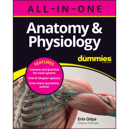 (영문도서) Anatomy & Physiology All-In-One for Dummies (+ Chapter Quizzes Online) Paperback, English, 9781394153657