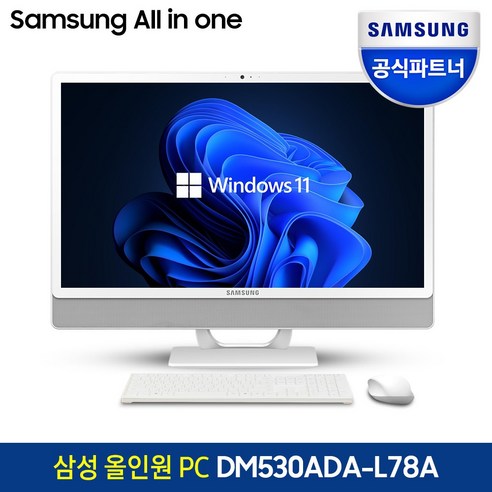 삼성전자 올인원PC 일체형PC 프로스트 화이트, DM530ADA-L78A, RAM 8GB