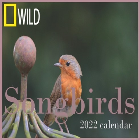 (영문도서) Songbirds calendar 2022: 12 Month Mini Calendar from Jan 2022 to Dec 2022 Cute Gift Idea - P... Paperback, Independently Published, English, 9798516796722