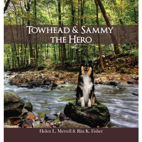 Towhead and Sammy The Hero Hardcover, Global Summit House, English ...