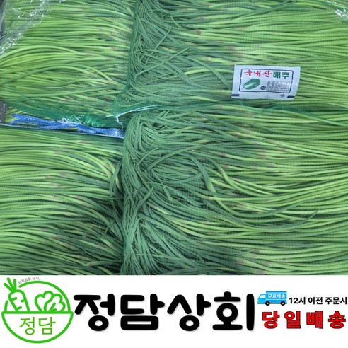 [ 정담상회 ] 국내산 햇 마늘쫑 마늘종 500g, 1kg, 2kg, 3kg, 5kg 내외, 1박스, 2kg