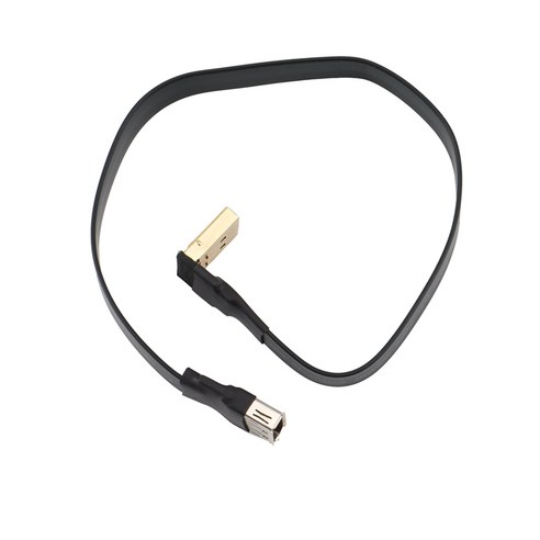 DisplayPort 리본 확장 케이블 남성 여성 플랫 EMI 차폐 FPC 케이블 DP 90도 각도 커넥터 (P3-P4), 30cm, 검정