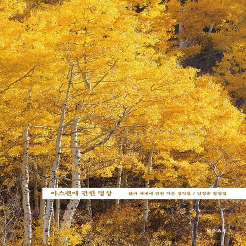NSB9788997296729 새책-스테이책터 [아스펜에 관한 명상]-삶과 세계에 작은 생각들 / 민경훈 칼럼집--북스코프(아카넷)-민경훈 지음-, 아스펜에 관한 명상