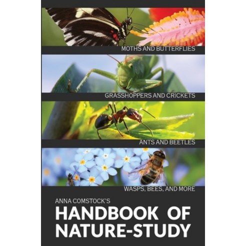 The Handbook Of Nature Study in Color - Insects Paperback, Living Book Press, English, 9781922348630
