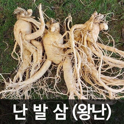 청명네이처 금산인삼 수삼(난발삼) 왕난(750g) (5~6뿌리), 1개, 750g