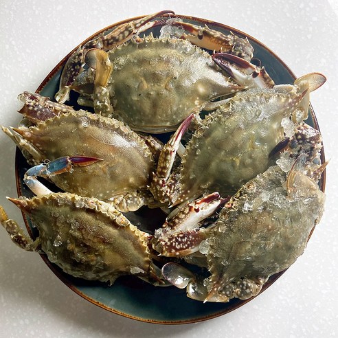 연평도 꽃게 서해안 제철 알배기 암꽃게 절단 몽당 급냉동 숫꽃게 1kg, 활 숫꽃게 소 1kg, 1개
