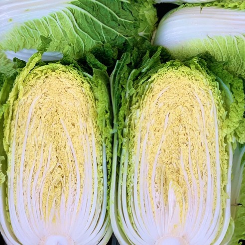 채소애 햇 배추: 싱싱함과 합리적인 가격으로 김장 고민 해결!