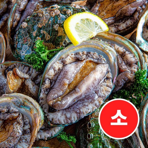 완도 특산물 활전복 1kg 꼬마-소 작은사이즈 (60 - 30미) 크기선택, 활전복 1kg(25-30미내외), 1개
