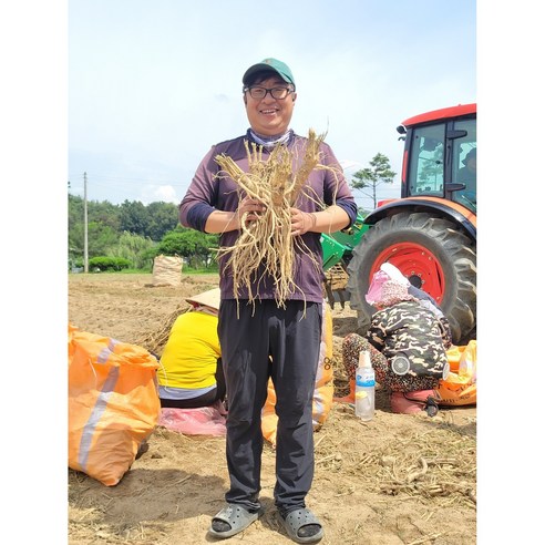 생도라지 국산 약도라지 세척 흙 도라지 3년근 영주 봉화 깐도라지 23년, 흙도라지, 흙도라지[실속] 1kg, 1개