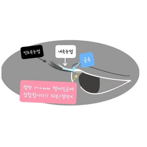 뷰티인마인 No자극 속눈썹 연장 글루, 1개