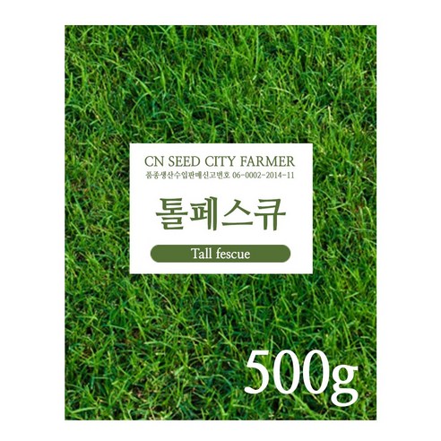 정원과 공원을 위한 필수품, 톨페스큐 잔디씨앗