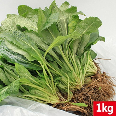 미산 생 곰보배추 1kg, 1개