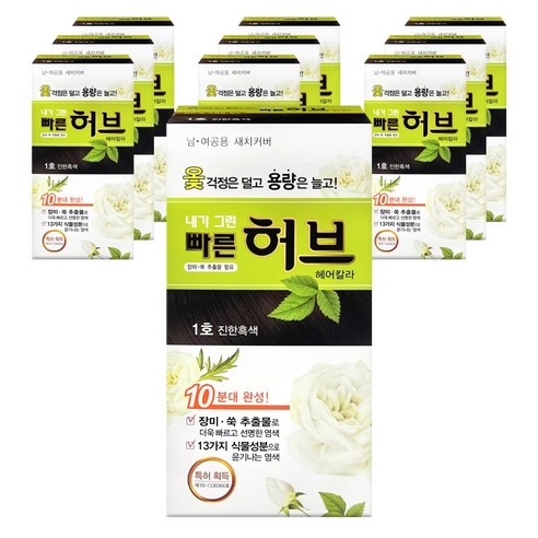 광동제약 내가그린 빠른허브 헤어칼라 염색약 1호 진한흑색, 10개