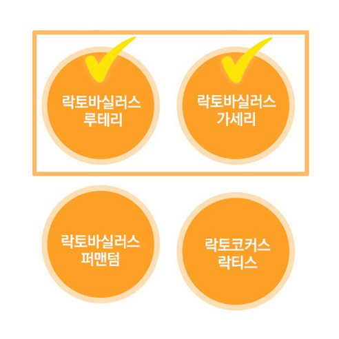 네이처랜드 컴플리트 프로바이오틱스: 장 건강과 웰빙을 위한 혁신적인 솔루션
