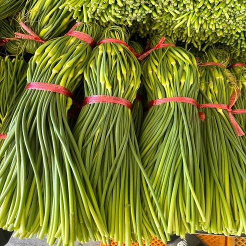 늘푸른농산 산지직송 마늘종 남해 햇 마늘쫑, 1박스, 2kg(특품)