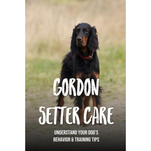(영문도서) Gordon Setter Care: Understand Your Dog''s Behavior & Training Tips: Training Tips For Your Go... Paperback, Independently Published, English, 9798451583418