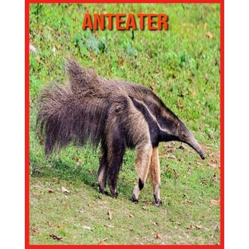 Anteater: Fun Facts and Amazing Photos of Animals in Nature Paperback, Independently Published, English, 9798706825010
