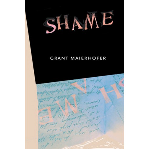 (영문도서) Shame Paperback, F2c, English, 9781573661942