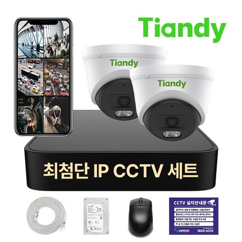 티앤디 400만화소 IP CCTV 녹화기 세트 PoE 지원 HDD 1TB 포함, 실내 카메라 2대세트