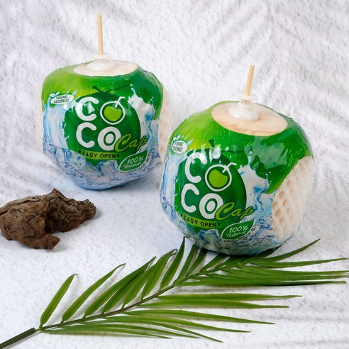 베트남 영코코넛 ( Young Coconut ), 9개, 1kg 내외