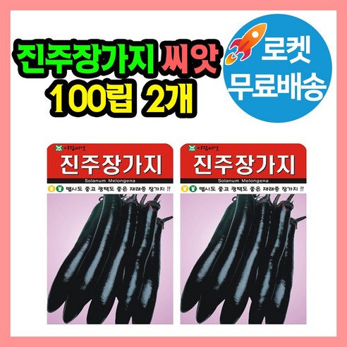 진주장가지 씨앗 (합 200립) 가지 종자 가지씨앗, 2개