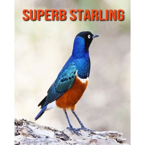 Superb Starling: Amazing Facts about Superb Starling Paperback, Independently Published, English, 9798551776130