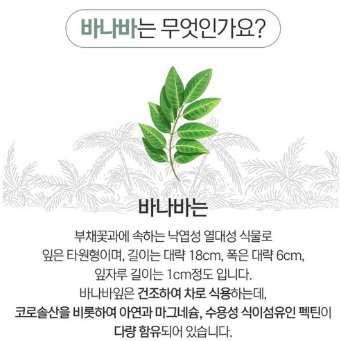 당뇨 관리를 위한 바나바 잎 추출물 당케어 차의 효과와 잠재적 이점