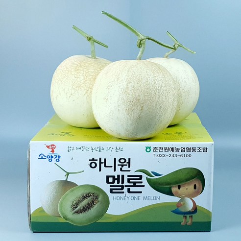 춘천 하니원 멜론 -메론의 끝판 왕 하니원메론, 1.3~1.5kg[특과], 2개