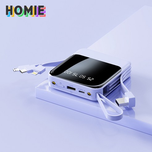 HOMIE 보조배터리 20000mAh 캠핑용 휴대용충전기 일체형 멀티단자 전력량 표시, 블루퍼플-XM