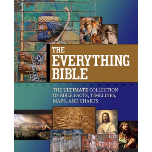 (영문도서) The Everything Bible: The Ultimate Collection of Bible Facts Timelines Maps and Charts Spiral, Broadstreet Publishing, English, 9781424569380