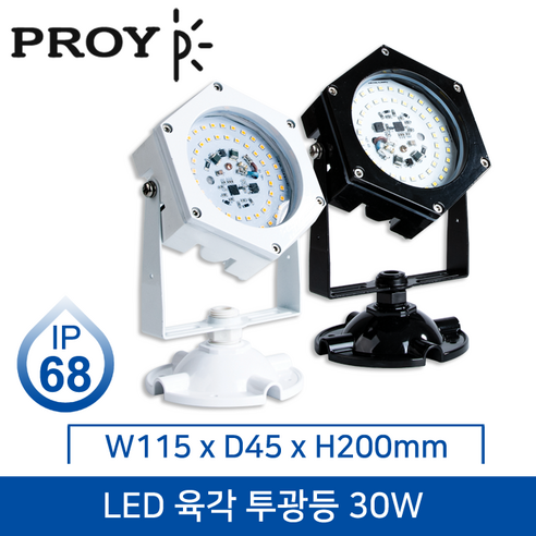 대도 LED 육각투광등 (IP68/방수형) 30W 실외등/블랙/화이트/전구색/주광색, 선택2) 화이트 30W 주광색