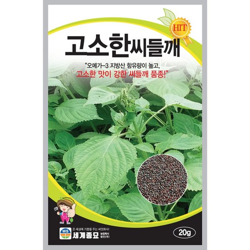 고소한씨들깨 30g /세계종묘 기름짜는들깨씨앗, 1봉