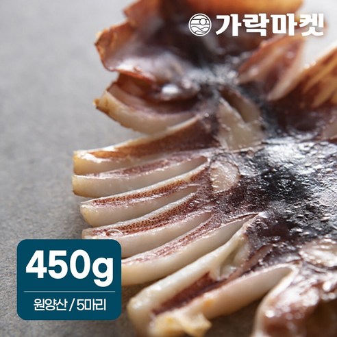 비투비월드 청정바다 원양산 반건조 오징어(5마리) (450g 내외), 상세 참조